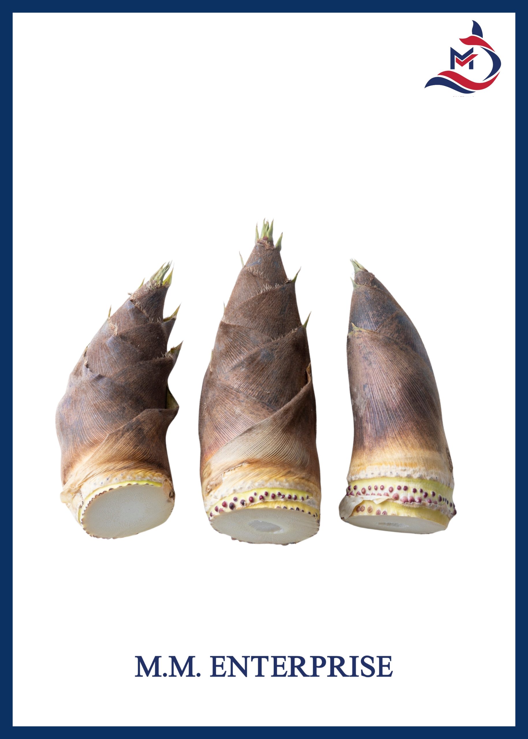 Bamboo Shoots - 02