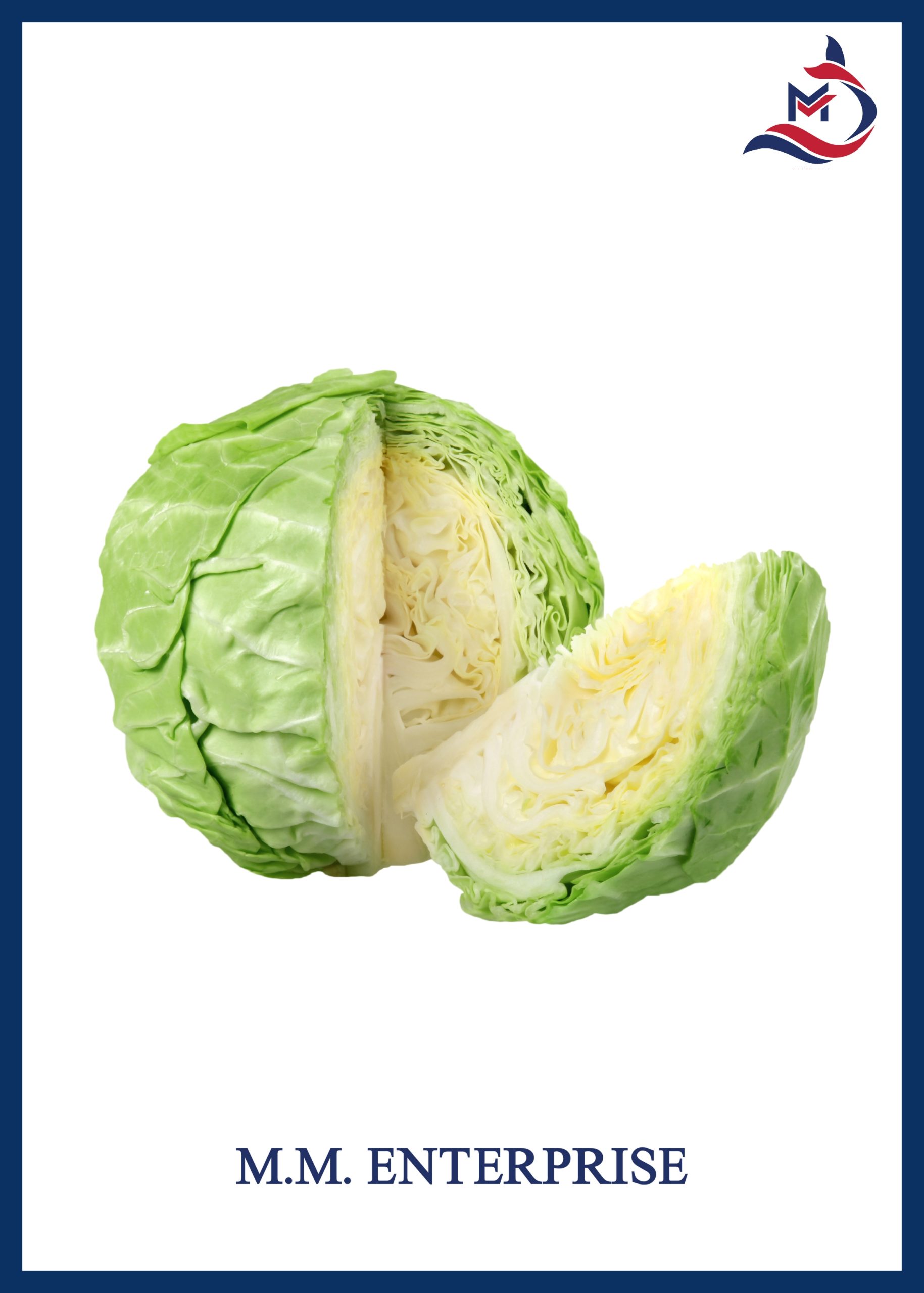 Cabbage - 02