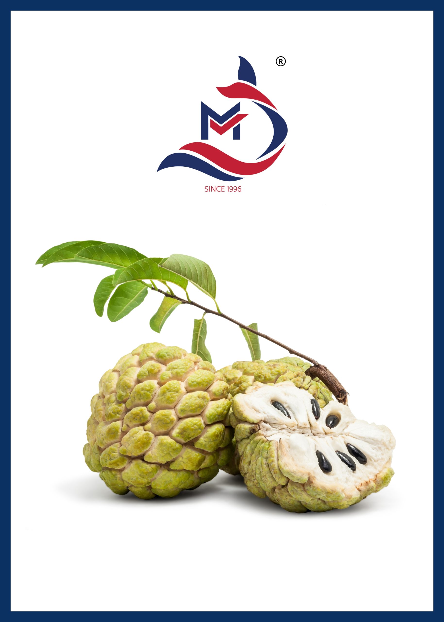 Custard Apple