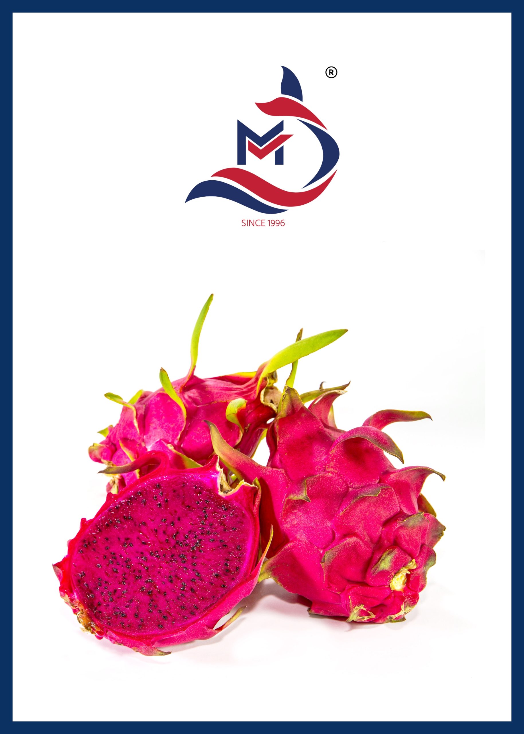Dragon Fruit - 01