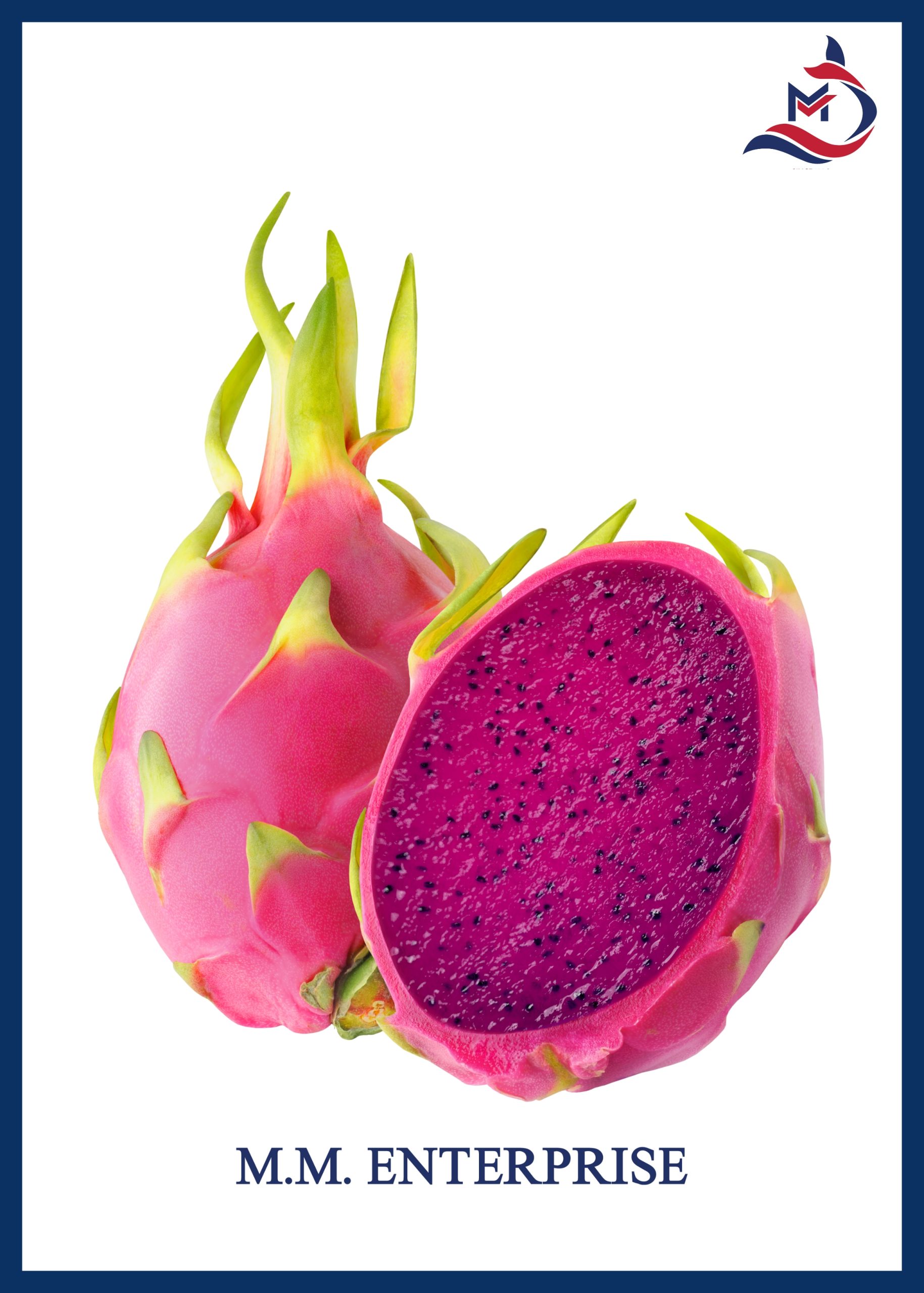 Dragon Fruit - 02