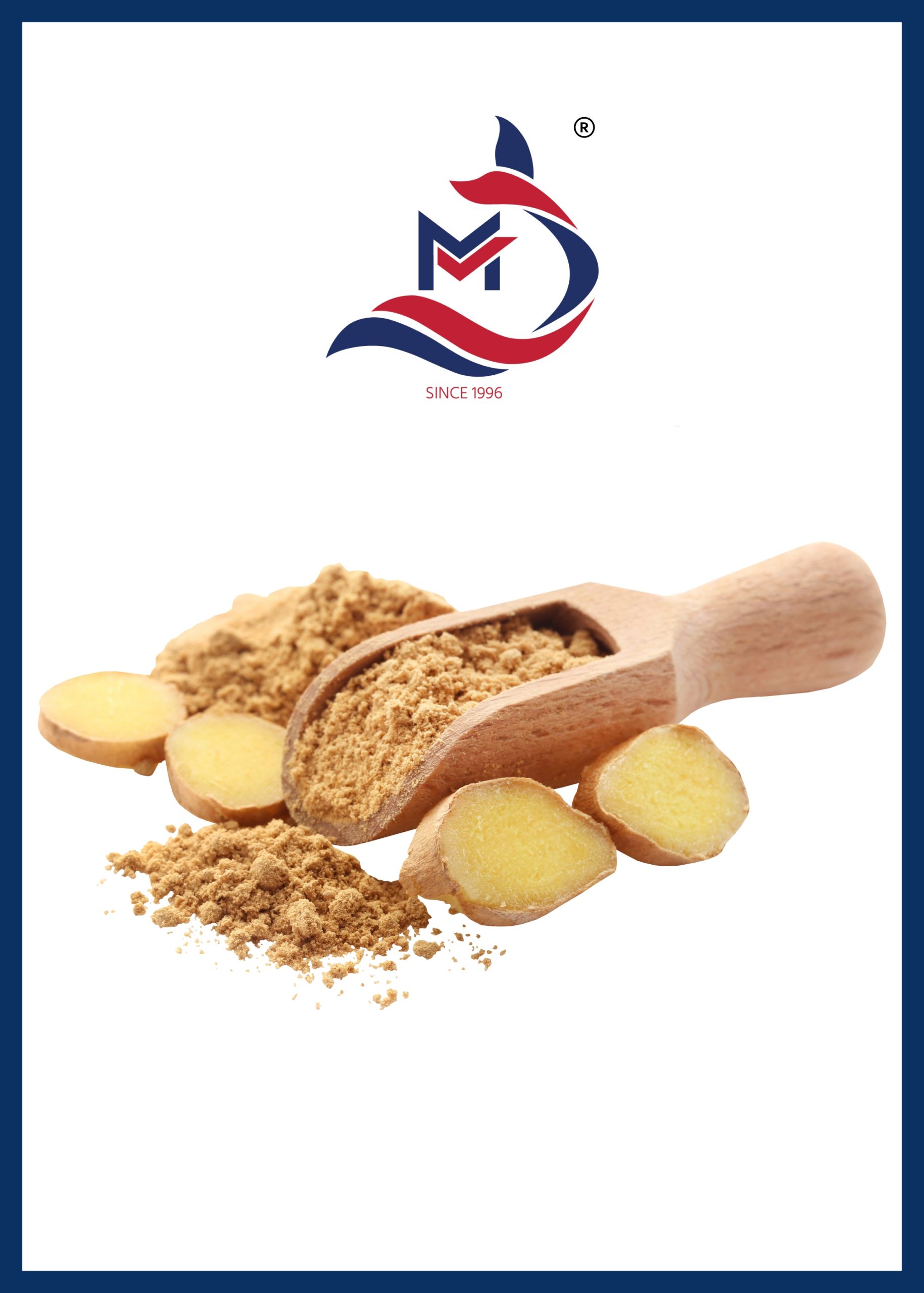Ginger Powder - 01