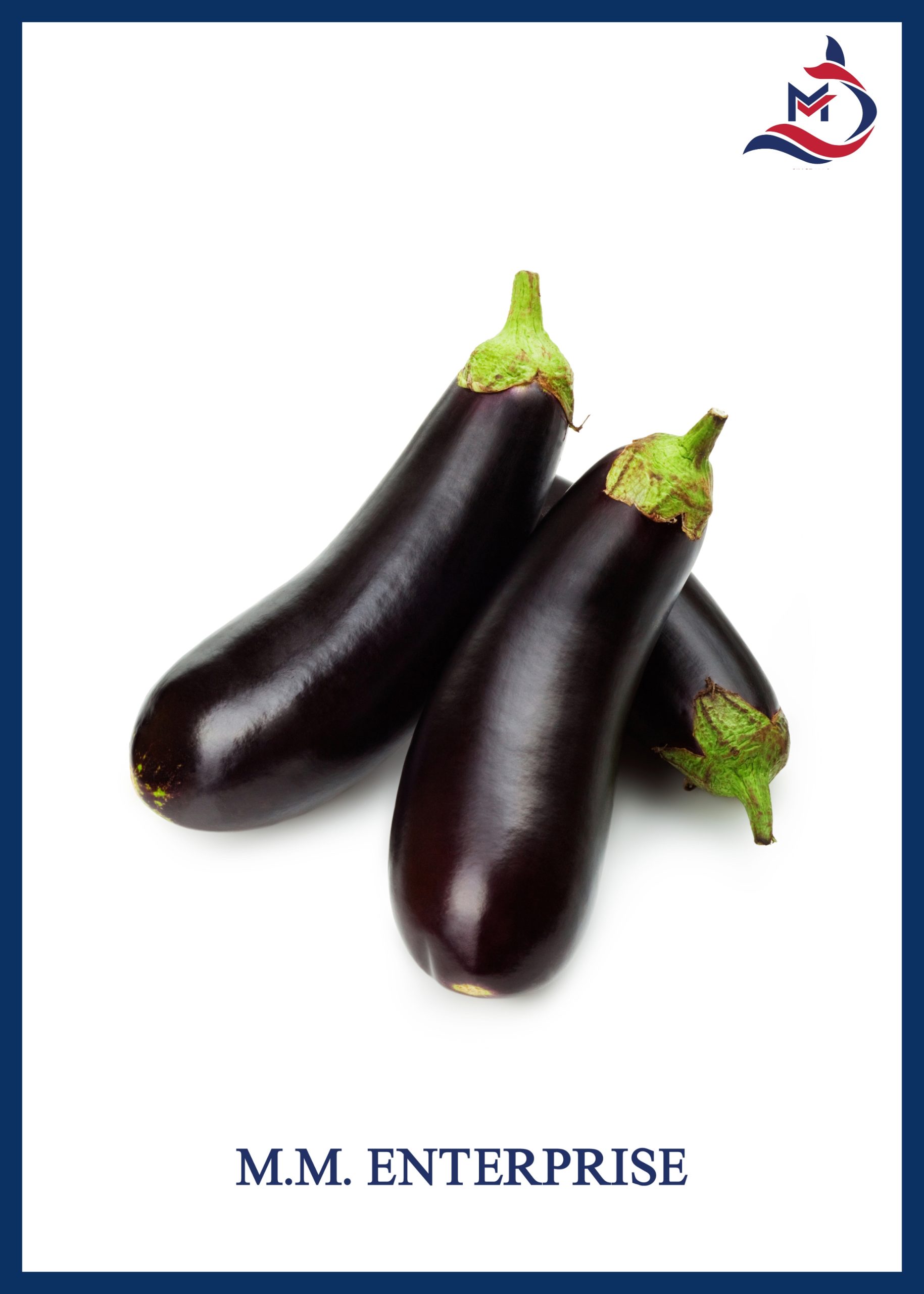 Long Eggplant - 02