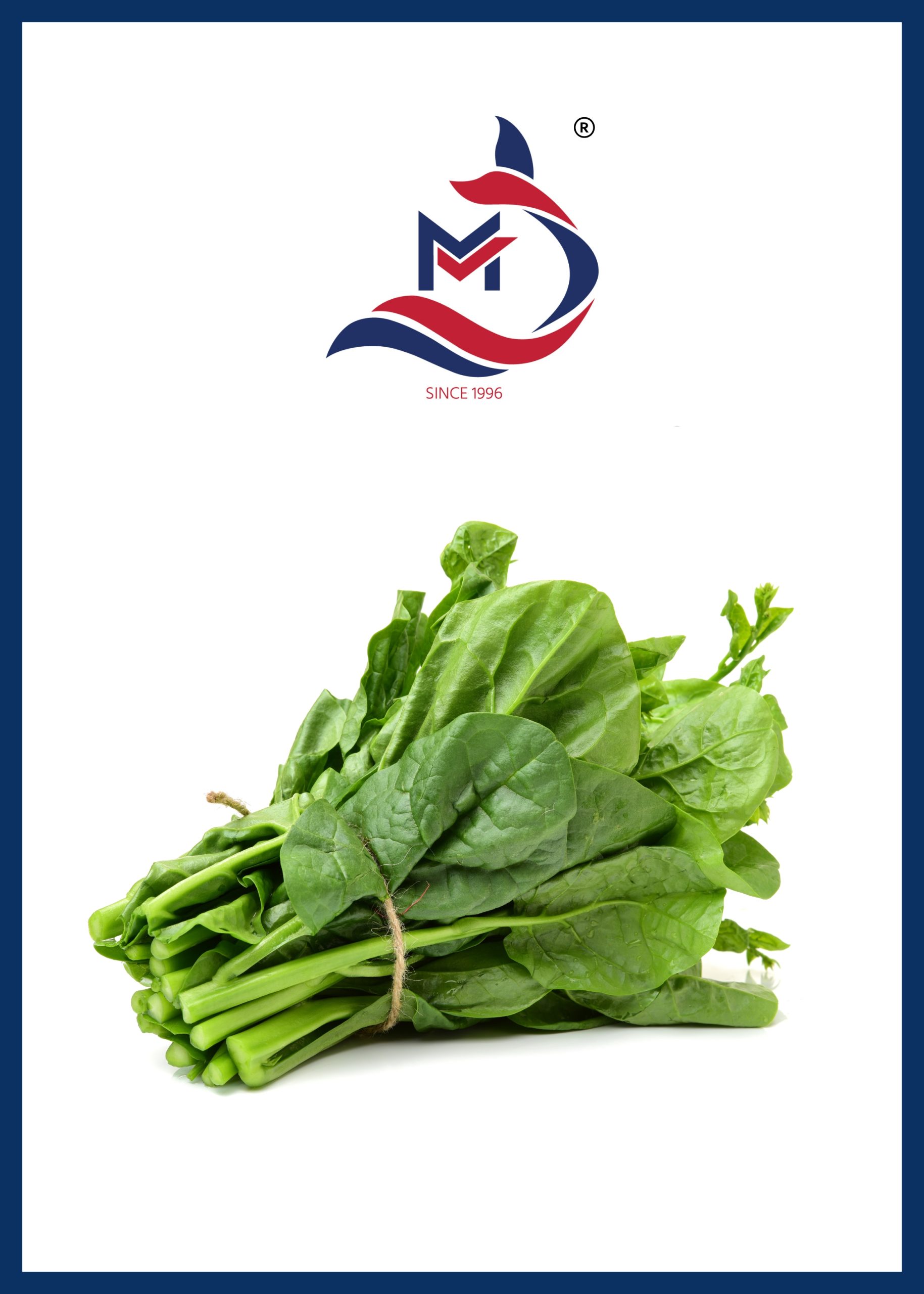 Malabar Spinach - 01