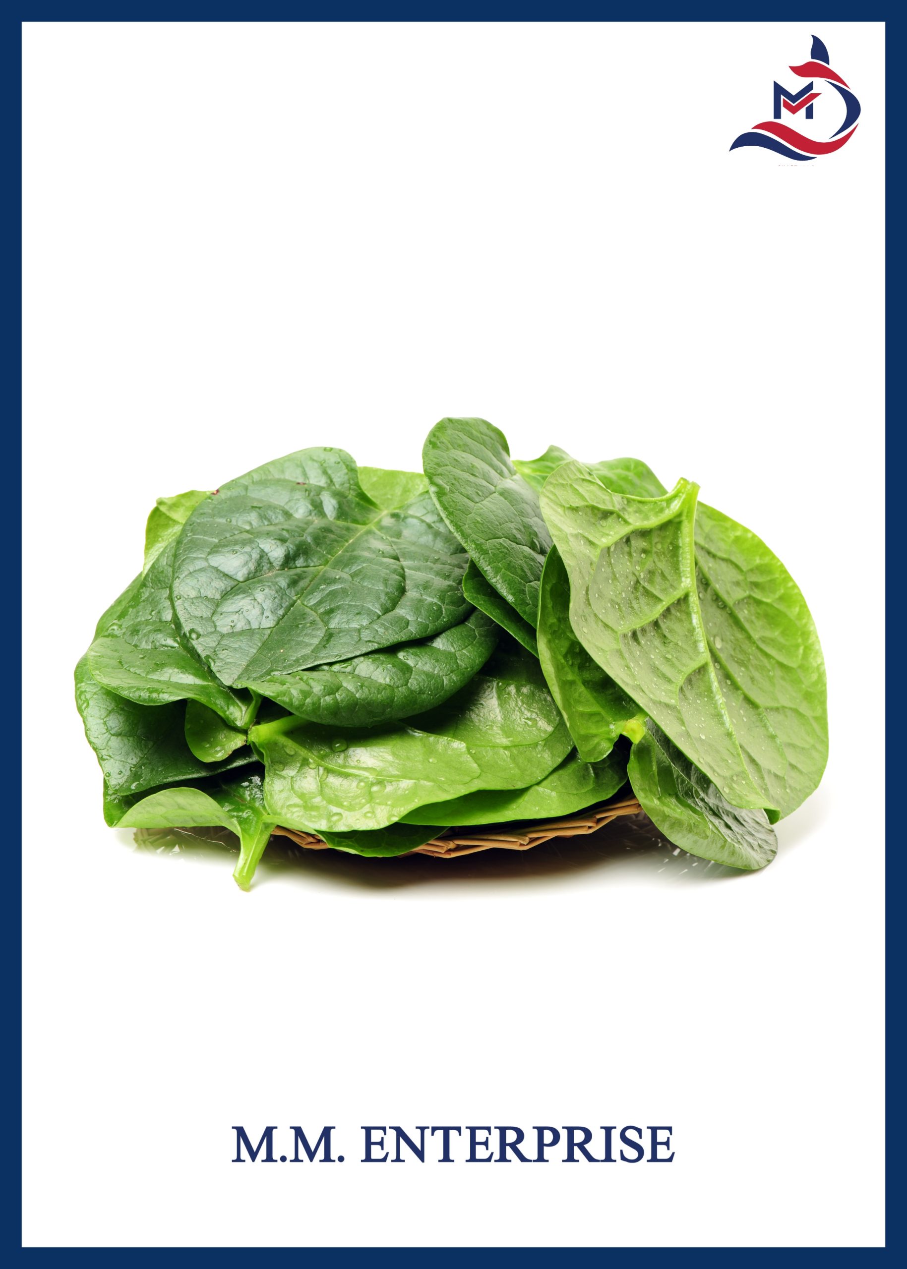 Malabar Spinach - 02