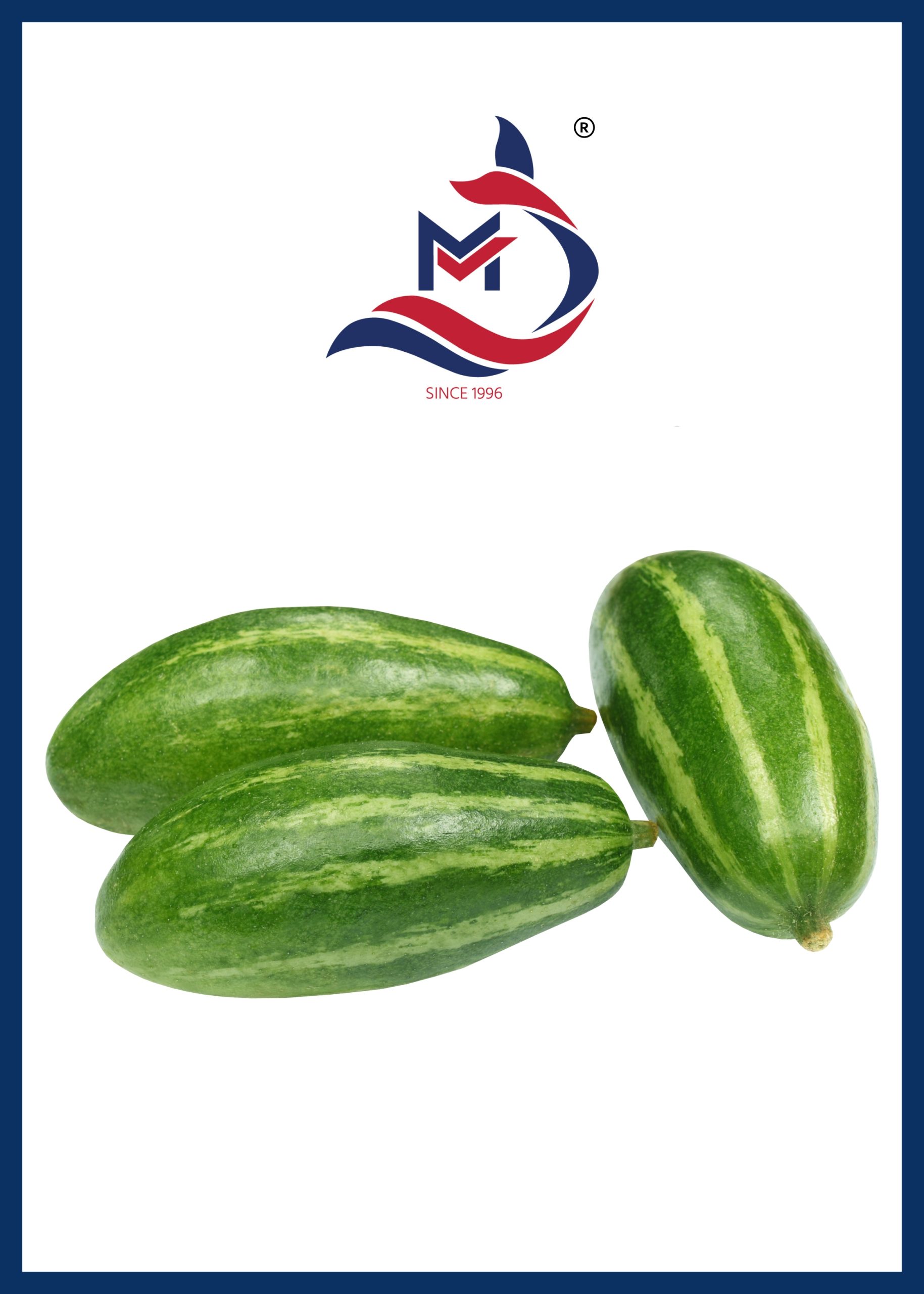 Pointed Gourd - 01