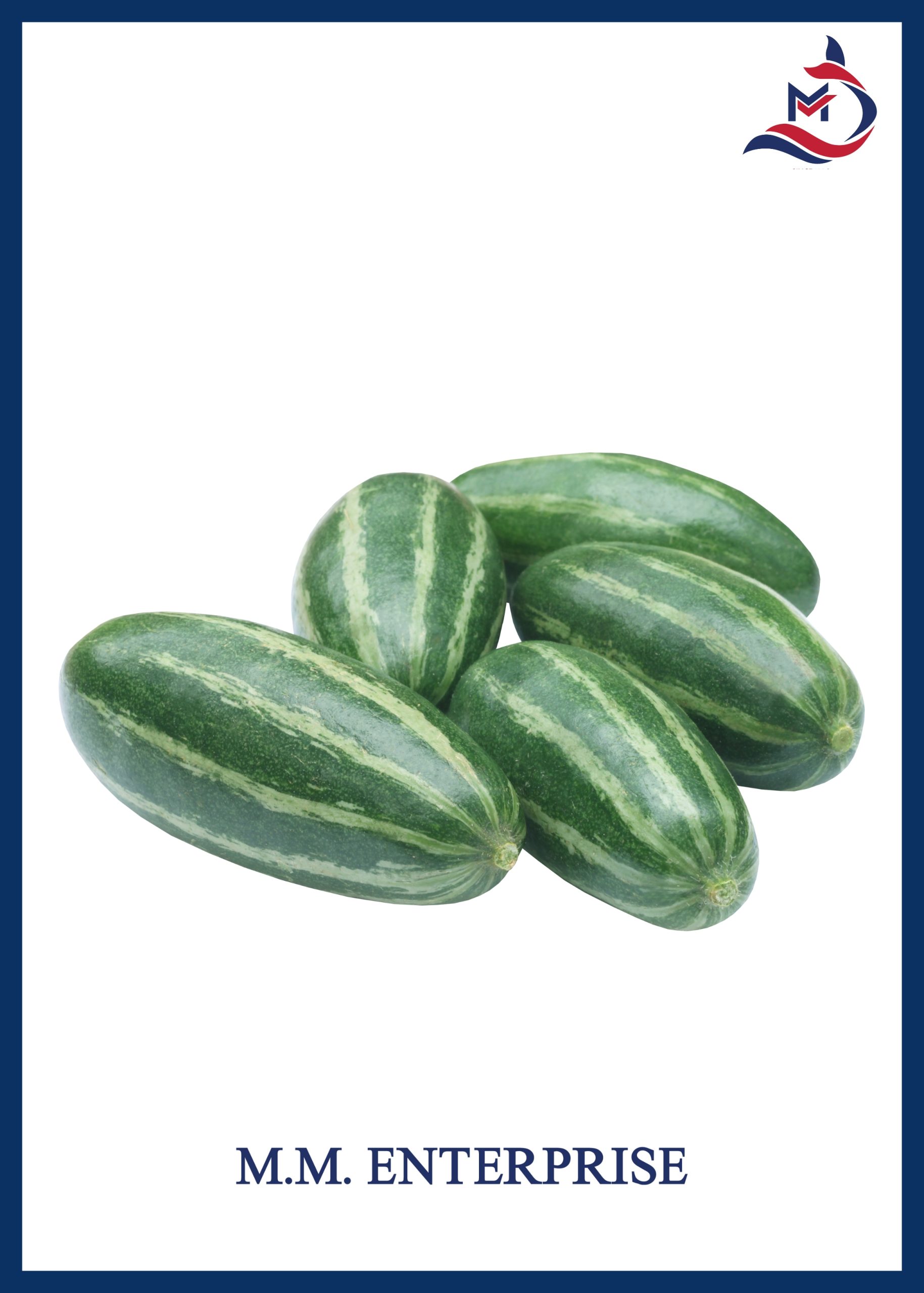 Pointed Gourd - 02