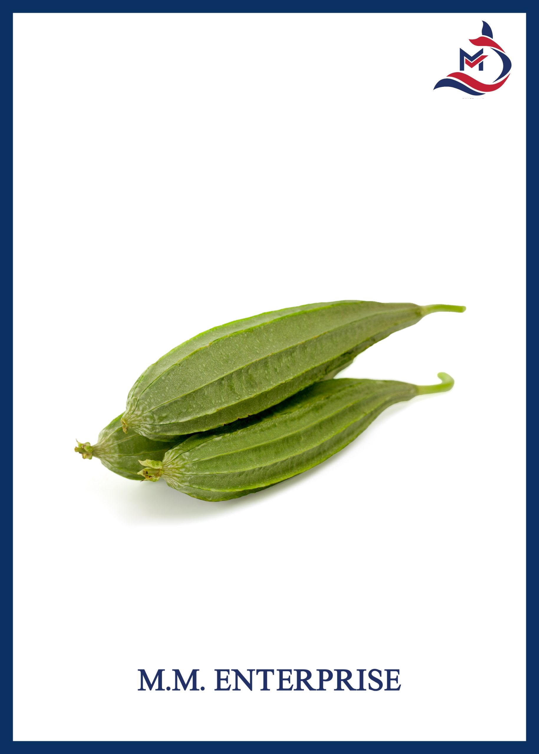 Ridge Gourd - 02
